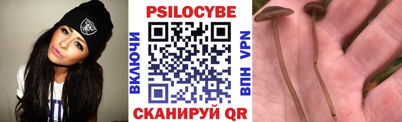 Псилоцибиновые грибы Magic Shrooms  Талдом 